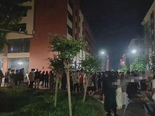 传媒学院吃瓜,揭秘校园吃瓜背后的故事