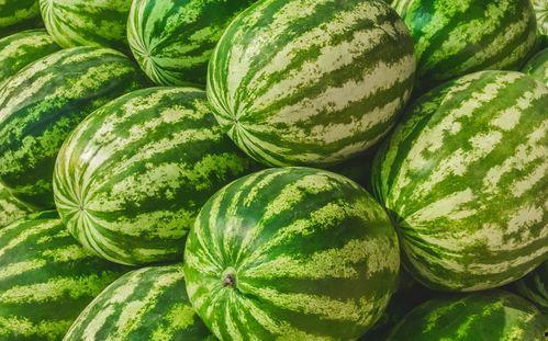 福州文教吃瓜,品味美食，畅谈教育，一网打尽“吃瓜”趣事