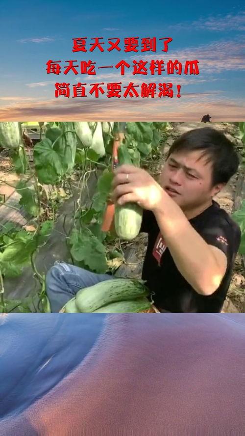 每日吃瓜偷窥,揭秘娱乐圈幕后故事