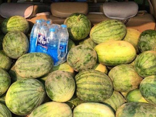 吃瓜蒙主争议切片,揭秘网络舆论背后的真相