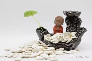 前列腺吃瓜好吗,吃瓜真的好吗？