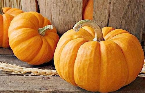 吃瓜不瓜地瓜,揭秘地瓜的神奇魅力