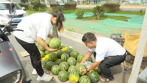 吃瓜一元,揭秘娱乐圈幕后真相