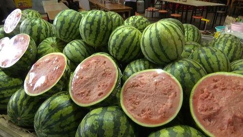 吃瓜一元,揭秘娱乐圈幕后真相