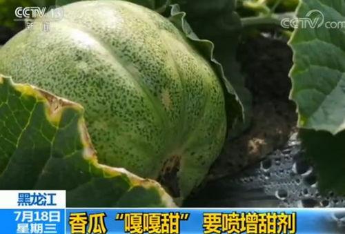 带你吃瓜城市,探寻美食与文化的独特魅力