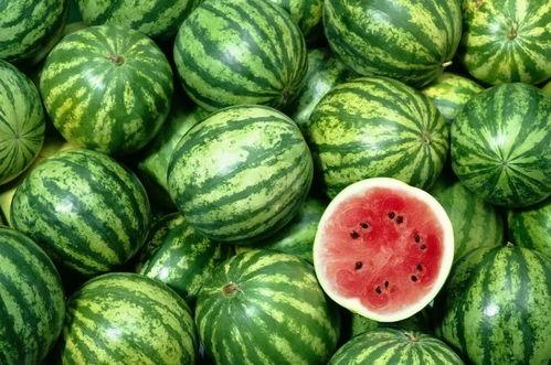 躲在瓜里吃西瓜,揭秘躲在瓜里吃西瓜的独特体验