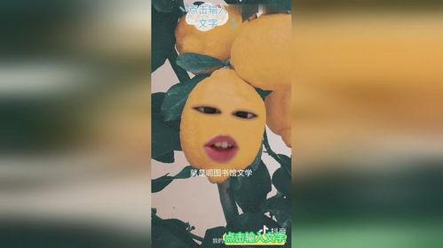 别人评价我吃瓜