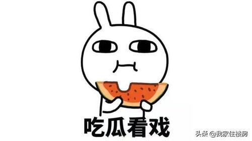 吃瓜不可错过是谁,揭秘“吃瓜不可错过”背后的热门事件与人物