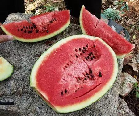 吃瓜腹泻啥病,常见病症背后的健康警示