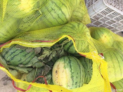 车翻吃瓜,一场意外引发的全民围观盛宴