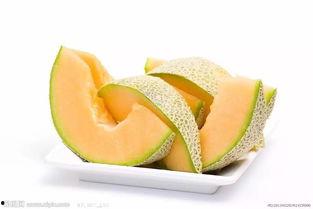 鲨鱼吃哈密瓜,海洋霸主与甜蜜哈密瓜的意外邂逅