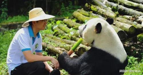 东方鹏鹏吃瓜,揭秘娱乐圈幕后故事