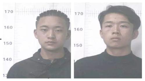 吃瓜吃歪了,揭秘网络谣言背后的真相