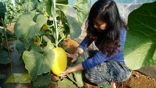旅游大队带你吃瓜,畅游瓜果飘香之旅