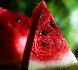 带你吃瓜搞笑食物,带你品尝那些搞笑食物的“瓜”