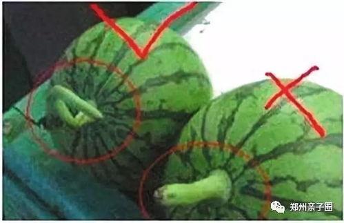 网络吃瓜的危害,揭秘其潜在危害与反思