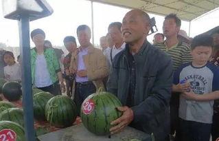 西宁最新吃瓜群众,西宁街头热辣“吃瓜”风云录