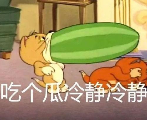 猫和老鼠吃瓜比赛,一场别开生面的吃瓜大赛