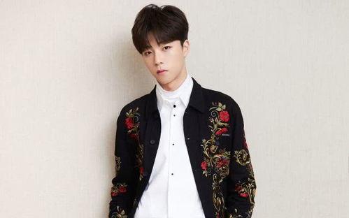 会长吃瓜谈陈立农,揭秘陈立农背后的故事与争议