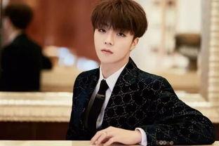 会长吃瓜谈陈立农,揭秘陈立农背后的故事与争议