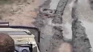 大炮电钻吃瓜群,揭秘网络社交新现象