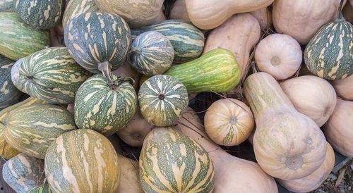 适合女人吃的瓜,盘点适合女性食用的健康瓜类