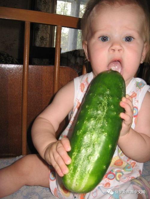 吃瓜俄罗斯,一场吃瓜群众的狂欢之旅