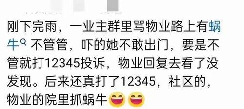 群里回顾吃瓜,一场热闹非凡的瓜界盛宴