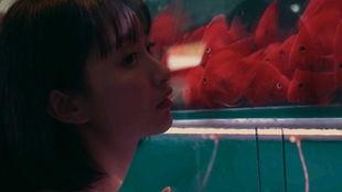 吃瓜少女神探,揭秘娱乐圈背后的秘密