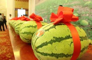 全力吃瓜,揭秘娱乐圈那些不为人知的幕后故事