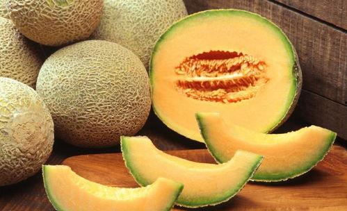 贝爷喜不喜欢吃哈密瓜,揭秘他对哈密瓜的独特情感