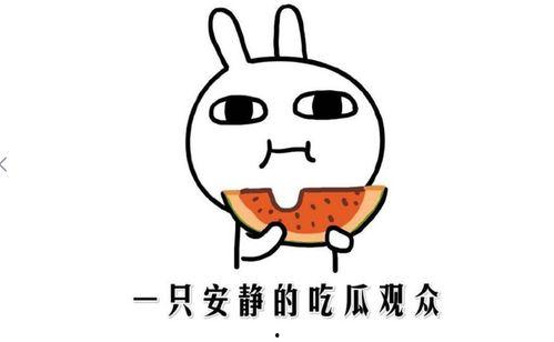 吃瓜简介文案短句