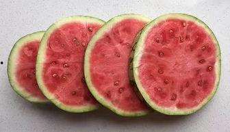 吃瓜系统全部,网络舆论场中的“瓜农”与“瓜果”