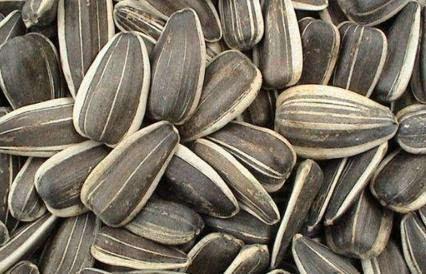 吃瓜连带籽的好处,揭秘瓜籽的营养秘密