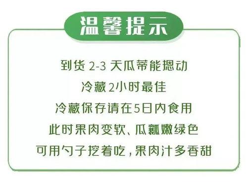 商场吃瓜大赛文案范文,商场吃瓜大赛，全民狂欢来袭！