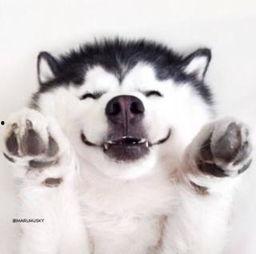 吃瓜视频爆笑大全,让你笑到肚子疼