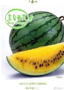 今日全球吃瓜,今日热点事件大盘点