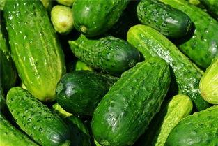 梦见爱人吃瓜,揭秘爱人吃瓜的寓意与情感