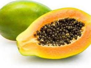 籽籽吃瓜,揭秘瓜果世界的甜蜜奥秘