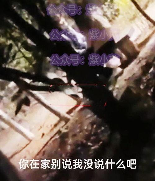 山东职校吃瓜视频,揭秘校园生活幕后趣闻