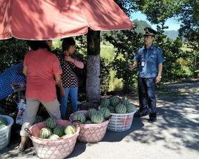 吃瓜群众赏艺术,一场别开生面的赏艺之旅