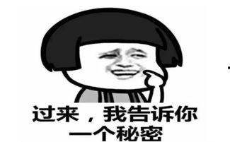 吃瓜群众搞笑瓜没了,搞笑瓜没了，精彩瞬间回顾