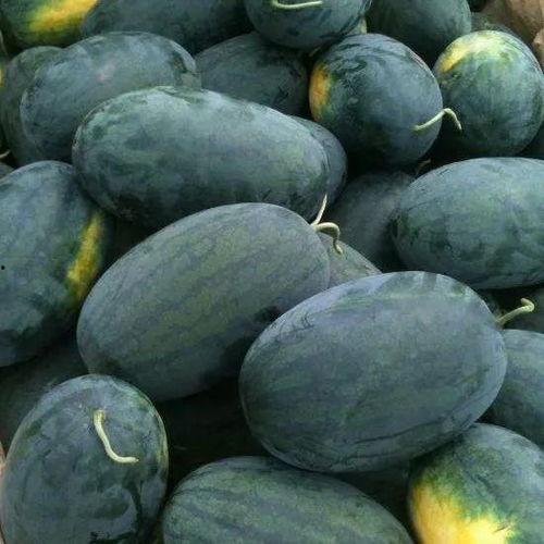 吃瓜有瓜看瓜,揭秘娱乐圈的瓜田秘闻