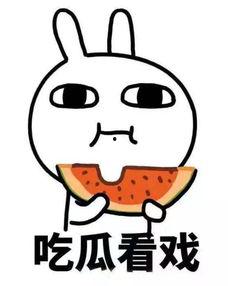 吃瓜趴,吃瓜趴背后的真相与内幕