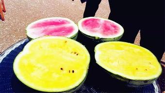 吃瓜爆料社区,网络舆论场上的风云变幻