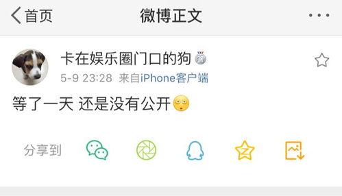 吃瓜爆料社区,网络舆论场上的风云变幻