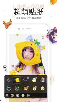 小老鼠吃瓜视频大全,萌趣横生的欢乐时光