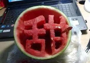 瓜牛可以吃吗,探究这种独特动物的食用价值与注意事项