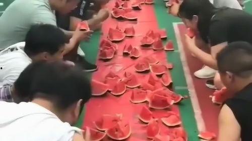 老爷吃瓜,揭秘宫廷秘闻，品味宫廷生活