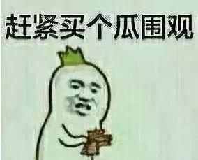 魏湾吃瓜群众,揭秘当地热点事件背后的故事